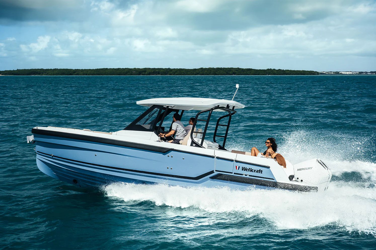 Wellcraft 28 T-Top — view 4