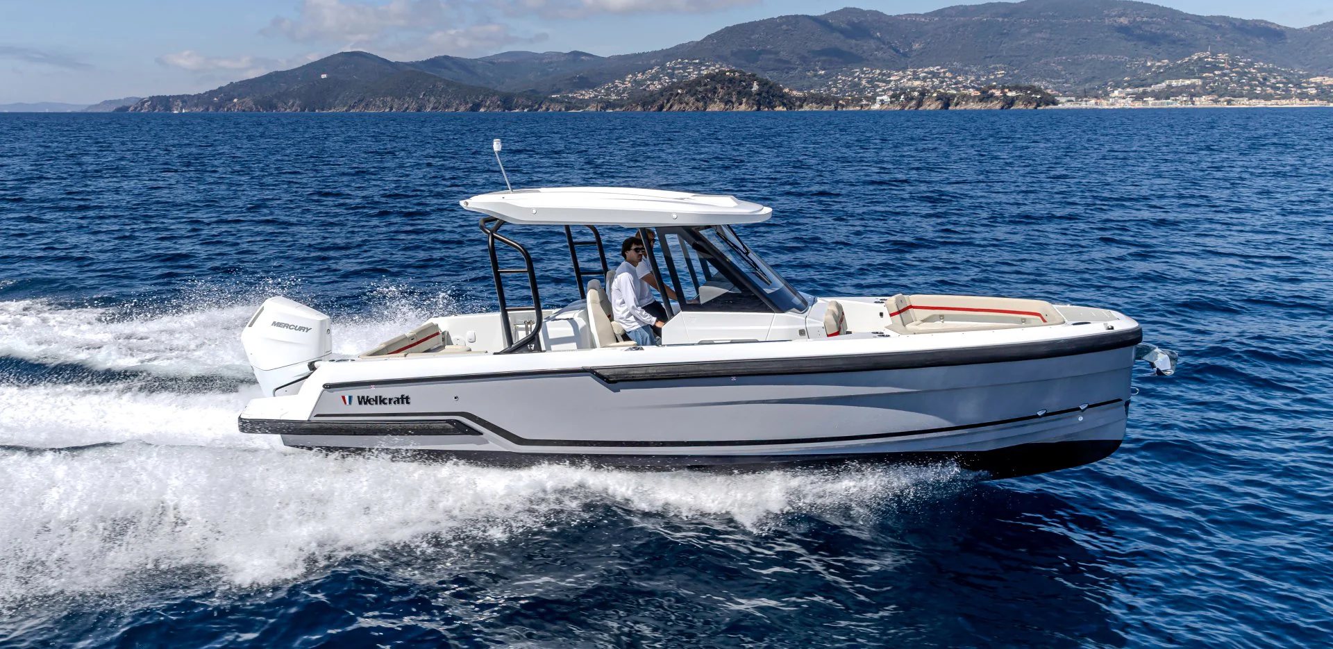 Wellcraft 28 T-Top — view 2
