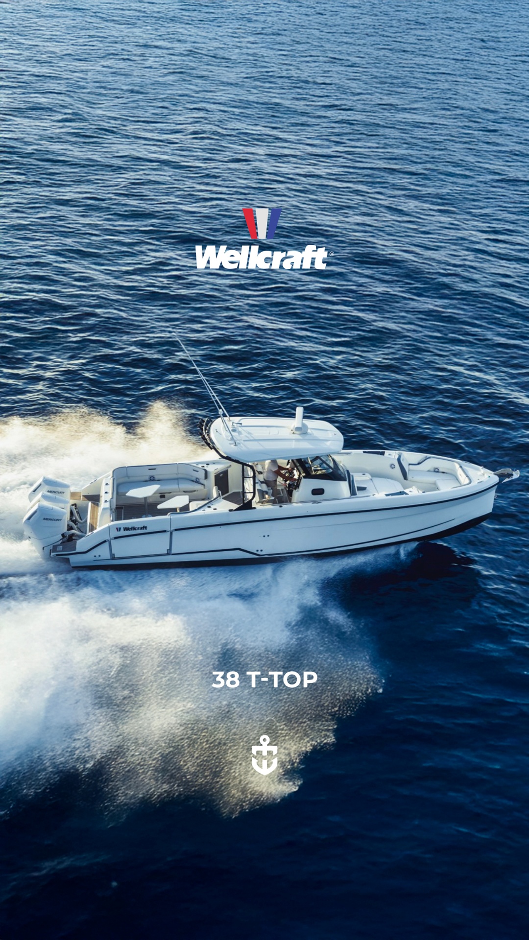 Wellcraft 38 T-Top
